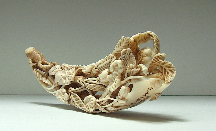 Blossoming Cherry Branch 002